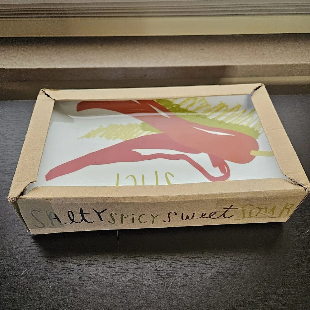 NWOT Set of 4 - Crate & Barrel Rectangular Plates